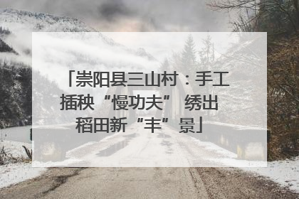 崇阳县三山村：手工插秧“慢功夫” 绣出稻田新“丰”景