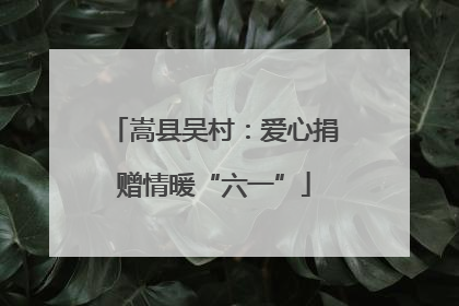 嵩县吴村：爱心捐赠情暖“六一”