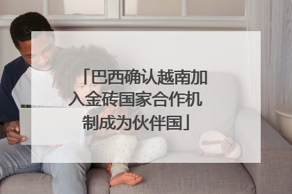 巴西确认越南加入金砖国家合作机制成为伙伴国