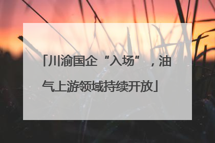 川渝国企“入场”，油气上游领域持续开放