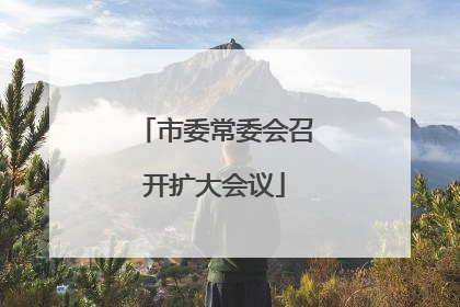 市委常委会召开扩大会议