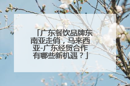 广东餐饮品牌东南亚走俏，马来西亚-广东经贸合作有哪些新机遇？