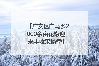 广安区白马乡2000余亩花椒迎来丰收采摘季