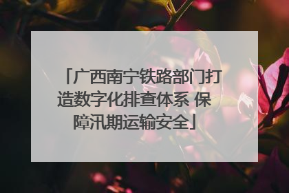广西南宁铁路部门打造数字化排查体系 保障汛期运输安全