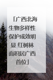 广西北海生物多样性保护成效明显 红树林面积居广西首位