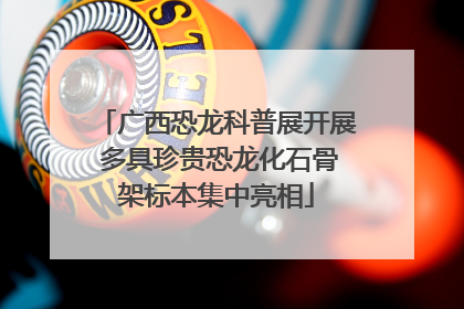广西恐龙科普展开展 多具珍贵恐龙化石骨架标本集中亮相
