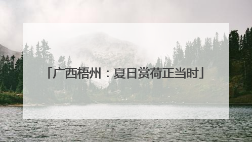 广西梧州：夏日赏荷正当时