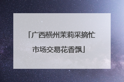 广西横州茉莉采摘忙 市场交易花香飘