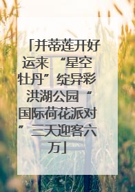 并蒂莲开好运来 “星空牡丹”绽异彩 洪湖公园“国际荷花派对”三天迎客六万
