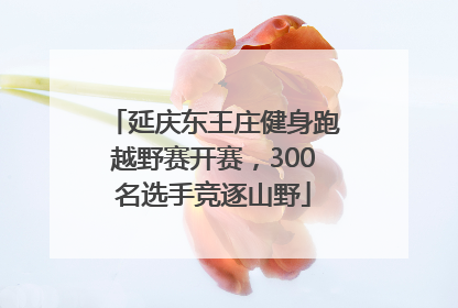 延庆东王庄健身跑越野赛开赛，300名选手竞逐山野