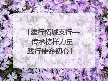建行柘城支行——传承榜样力量 践行使命初心