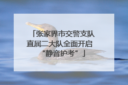 张家界市交警支队直属二大队全面开启“静音护考”