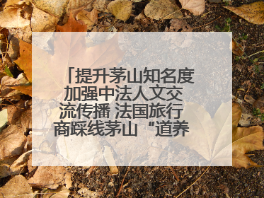 提升茅山知名度 加强中法人文交流传播 法国旅行商踩线茅山“道养文化产品”