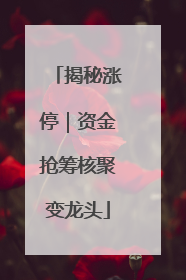 揭秘涨停｜资金抢筹核聚变龙头