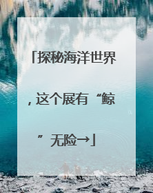 探秘海洋世界，这个展有“鲸”无险→