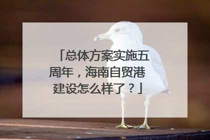 总体方案实施五周年，海南自贸港建设怎么样了？