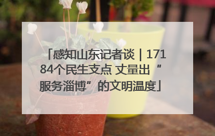 感知山东记者谈｜17184个民生支点 丈量出“服务淄博”的文明温度