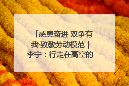 感恩奋进 双争有我·致敬劳动模范｜李宁：行走在高空的“电网卫士”