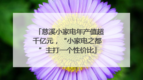 慈溪小家电年产值超千亿元，“小家电之都”主打一个性价比