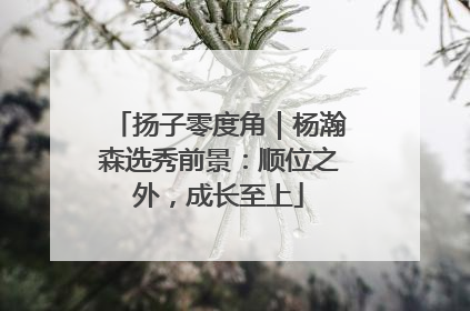 扬子零度角｜杨瀚森选秀前景：顺位之外，成长至上