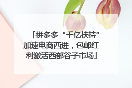 拼多多“千亿扶持”加速电商西进，包邮红利激活西部谷子市场