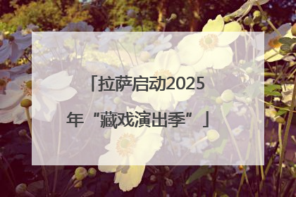 拉萨启动2025年“藏戏演出季”