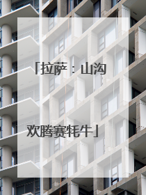 拉萨：山沟欢腾赛牦牛