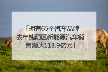 拥有65个汽车品牌 去年槐荫区新能源汽车销售额达113.9亿元