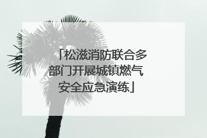 松滋消防联合多部门开展城镇燃气安全应急演练