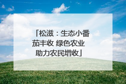 松滋：生态小番茄丰收 绿色农业助力农民增收