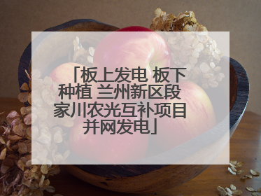 板上发电 板下种植 兰州新区段家川农光互补项目并网发电