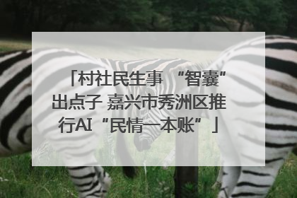村社民生事 “智囊”出点子 嘉兴市秀洲区推行AI“民情一本账”