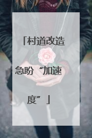 村道改造急盼“加速度”