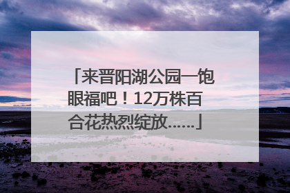 来晋阳湖公园一饱眼福吧！12万株百合花热烈绽放……