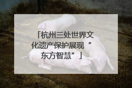 杭州三处世界文化遗产保护展现“东方智慧”