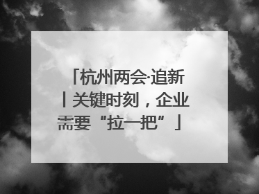 杭州两会·追新丨关键时刻，企业需要“拉一把”