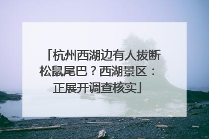 杭州西湖边有人拔断松鼠尾巴？西湖景区：正展开调查核实