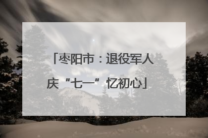 枣阳市：退役军人庆“七一”忆初心