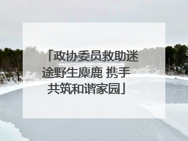 政协委员救助迷途野生麋鹿 携手共筑和谐家园