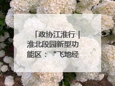 政协江淮行｜淮北段园新型功能区：“飞地经济”拔节生长