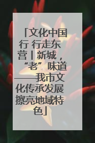 文化中国行 行走东营丨新城，“老”味道——我市文化传承发展擦亮地域特色
