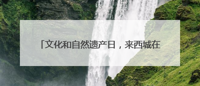 文化和自然遗产日，来西城在历代帝王庙博物馆里遇见非遗