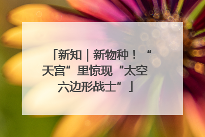 新知｜新物种！“天宫”里惊现“太空六边形战士”