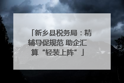 新乡县税务局：精辅导促规范 助企汇算“轻装上阵”