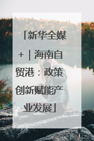 新华全媒+｜海南自贸港：政策创新赋能产业发展
