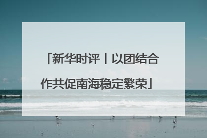 新华时评丨以团结合作共促南海稳定繁荣