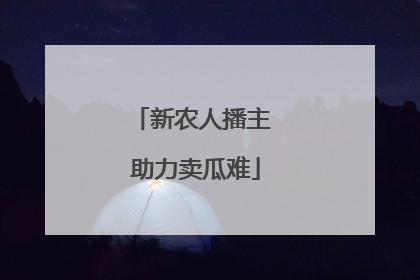 新农人播主 助力卖瓜难