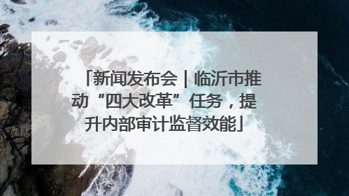 新闻发布会｜临沂市推动“四大改革”任务，提升内部审计监督效能