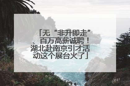 无“非升即走”、百万高薪诚聘！湖北赴南京引才活动这个展台火了