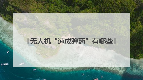 无人机“速成弹药”有哪些